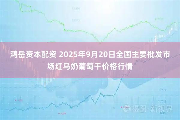 鸿岳资本配资 2025年9月20日全国主要批发市场红马奶葡萄干价格行情