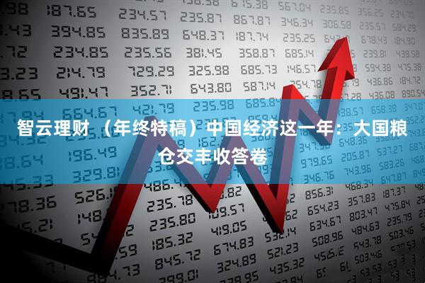 智云理财 （年终特稿）中国经济这一年：大国粮仓交丰收答卷