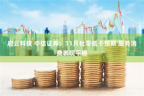 启云科技 中信证券：11月社零低于预期 服务消费表现平稳