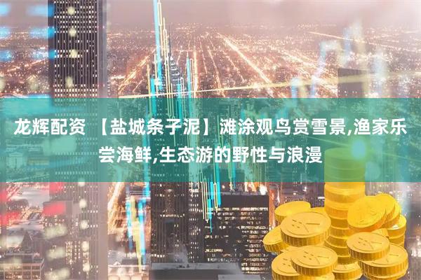龙辉配资 【盐城条子泥】滩涂观鸟赏雪景,渔家乐尝海鲜,生态游的野性与浪漫