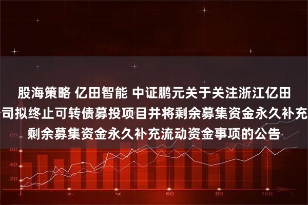 股海策略 亿田智能 中证鹏元关于关注浙江亿田智能厨电股份有限公司拟终止可转债募投项目并将剩余募集资金永久补充流动资金事项的公告