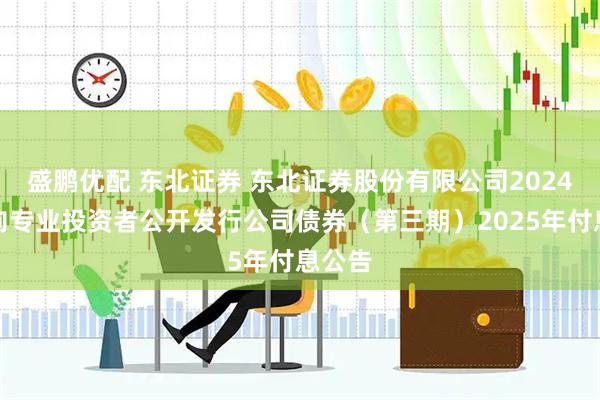 盛鹏优配 东北证券 东北证券股份有限公司2024年面向专业投资者公开发行公司债券（第三期）2025年付息公告