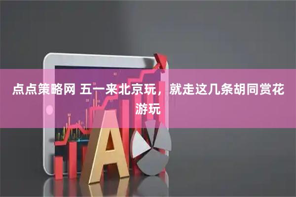 点点策略网 五一来北京玩，就走这几条胡同赏花游玩